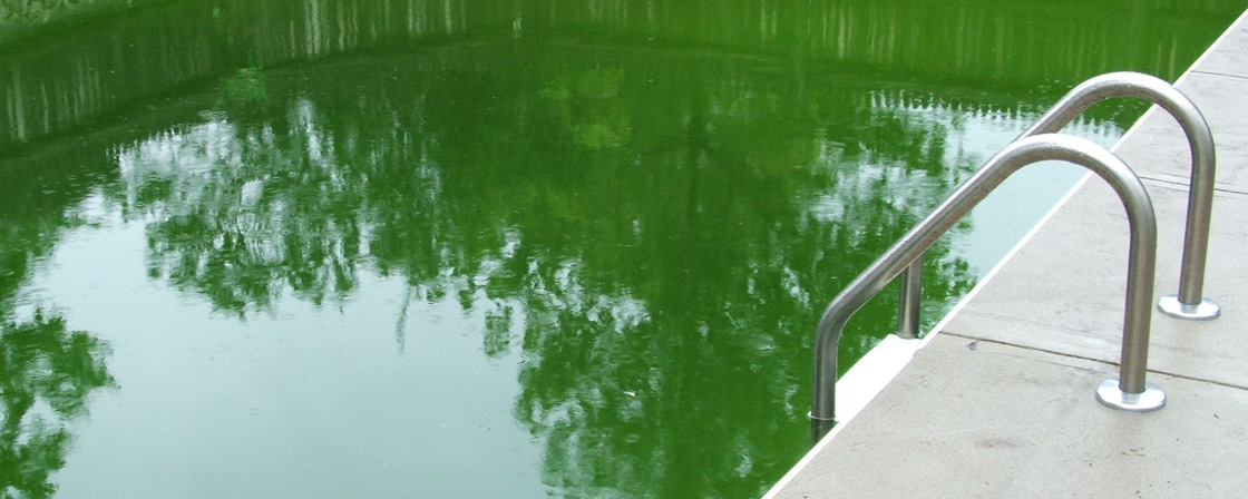 Grünes Poolwasser - Ursachen, Lösungen und Prävention