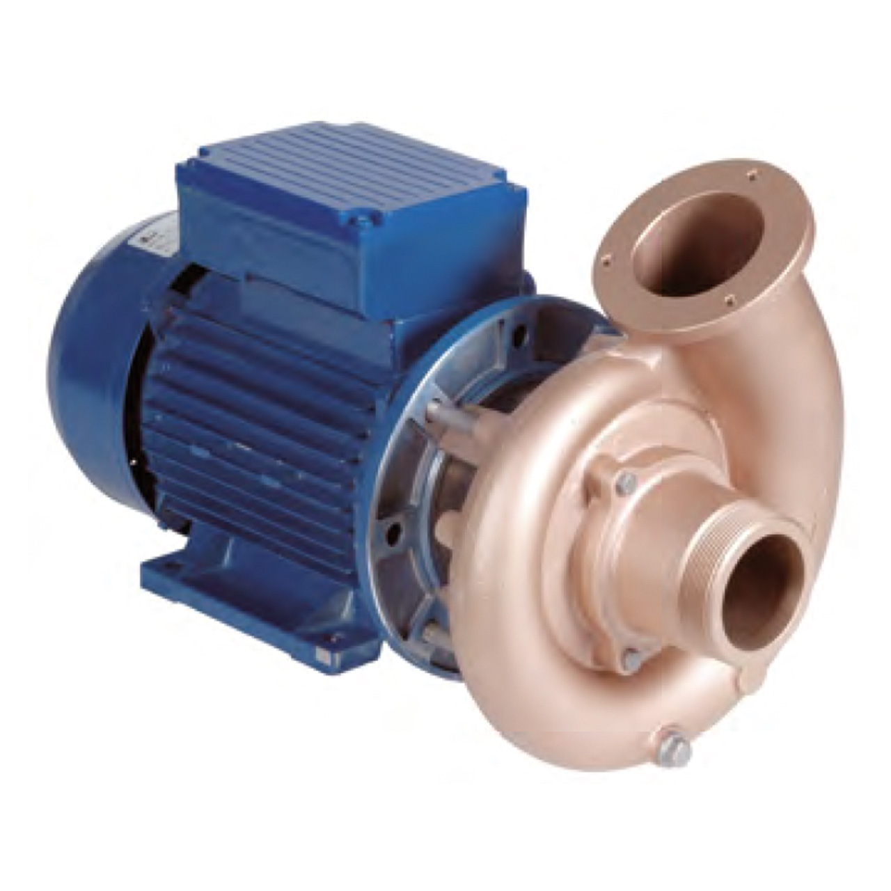 Lahme FitStar Pumpe FB65