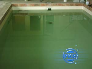 Grünes Hallenbad mit Folienauskleidung und sichtbarem Skimmer, umgeben von einem gemauerten Beckenrand.
