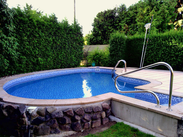 Freiformbecken mit Treppe inkl. Handlauf